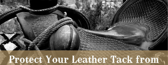 Protect Your Leather Tack from the Harsh Elements